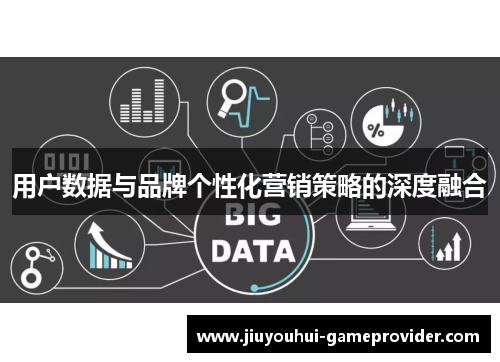 用户数据与品牌个性化营销策略的深度融合